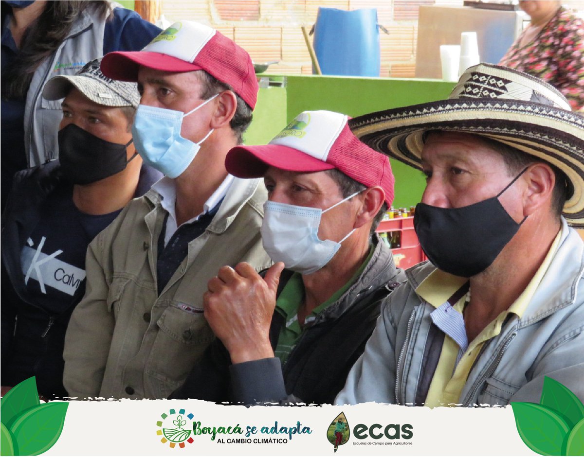 BoyacaSeAdaptaC's tweet photo. En el municipio de #Toca compartimos saberes con nuestros productores a cerca de Nutrición vegetal con el fin de tomar mejores decisiones en la fertilización, logrando una mejor calidad en sus cultivos, rentabilidad y rendimiento. https://t.co/fDRF1laHft