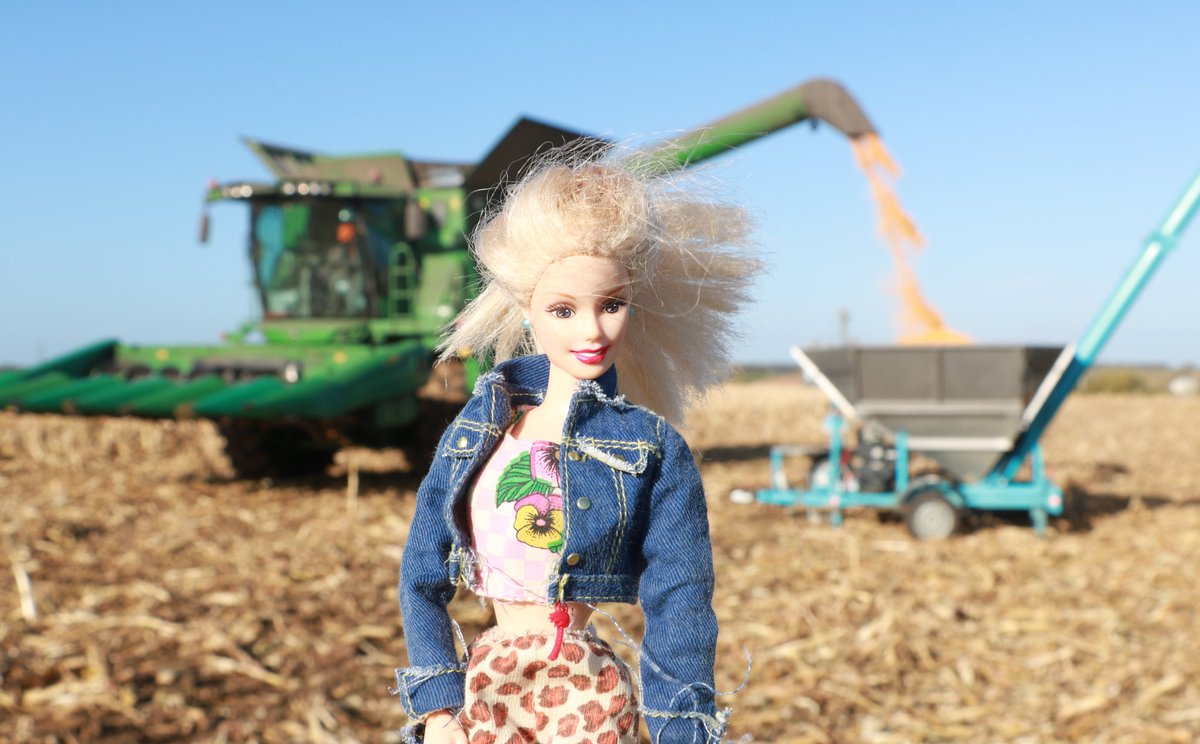Barbie_Agro's tweet photo. Barbie'Agro ce matin a aidé à la récolte de la vitrine variétés 🌽 en Touraine. 14 variétés testées en grandes bandes. Il ne reste plus qu'à 📊 les résultats. Merci à l'agri mais aussi à @DEKALB_FR et @MASseedsfrance d'avoir contribué à la récolte. #maïs #essai #AXEREAL https://t.co/x2gJWpHZVa
