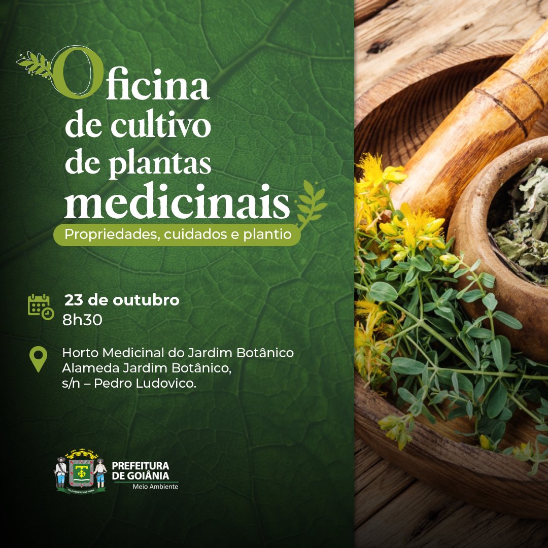AMMAGOIANIA's tweet photo. Sábado é dia de aprender mais sobre as propriedades, os cuidados e as formas de plantio adequadas de plantas medicinais. Teremos a distribuição de mudas e quem quiser, pode levar sua muda de casa para plantar no local e ajudar a enriquecer a coleção do nosso viveiro 🌿 https://t.co/gGWcgm9iiV