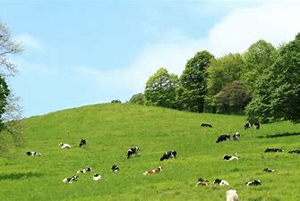Townsend_TCS's tweet photo. FARMING INNOVATION PROGRAMME OPEN FOR APPLICATIONS
DEFRA have announced £17.5million in funding will be available to farmers to invest in new practices and technologies that boost productivity and benefit the environment. For help with grants contact Mark Burton on 01392 823935. https://t.co/VM1UjrSG44