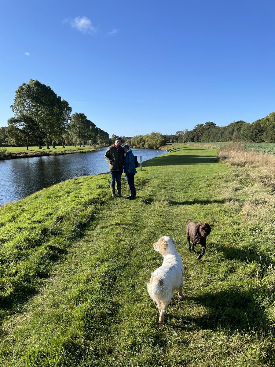 chunk_duke's tweet photo. @RichardAlanPal2 We took his mum Darcey :) Boris stayed with his dad Mork and sister Nellie https://t.co/PrOZj5j6Xv