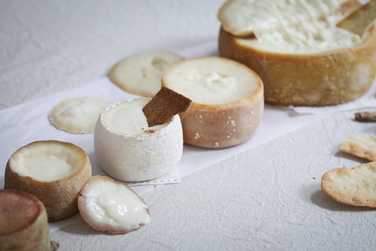 Brindisa's tweet photo. OVEJAS 🐑😍 A beautiful shot from our cheese supplier Quesos Cañarejal of their flock of Awassi sheep. 

On the right you can see the cheese they produce known as 'Cañarejal Cremoso', which is the small white cheese in shot! https://t.co/dFn6OeDSol