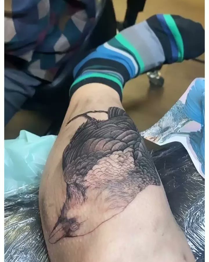 iamlp_eb's tweet photo. Beautiful tattoo👌👌👌 @lucymytattoo & @iamlp 💪💪
.
.
.
.
#angels #LP #tattoo #newtattoo
#LPrevelation #howlowcanyougo #TheOneThatYouLove #LPeople #LPworldwide #iamlp #iamlpofficial #lpphoto #WhenWereHigh #eblp #laurapergolizzi #lpeb #lpmusic #lostonyou https://t.co/OBUmd9bzMB