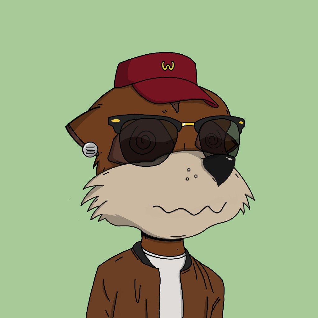 dikeacos's tweet photo. @mmccsolana #MeerkatMob lil wacky hat too https://t.co/eDtaDIUbeB