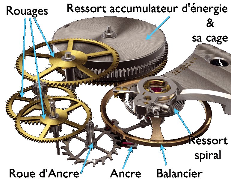 TEMPUS SHOP on Twitter: "Quelle est la différence entre une montre à