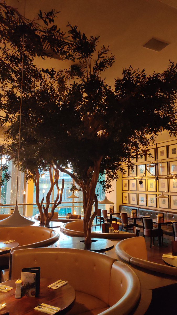 Our upstairs is having a glow up! Look what we've grown!