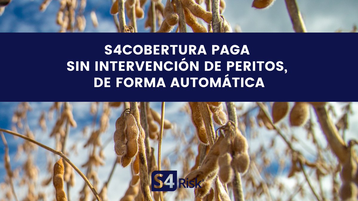 Contratando S4Cobertura® podrás recuperar tu inversión. Sin letra chica, sin peritos y de manera objetiva.

Elegí cómo querés gestionar tu #riesgoclimático.

Más Info en S4Risk.co 
#Insurtech #AgTech #Maíz #Soja 
#MaizTardio #Sequía #Inundación 
#Cambioclimático