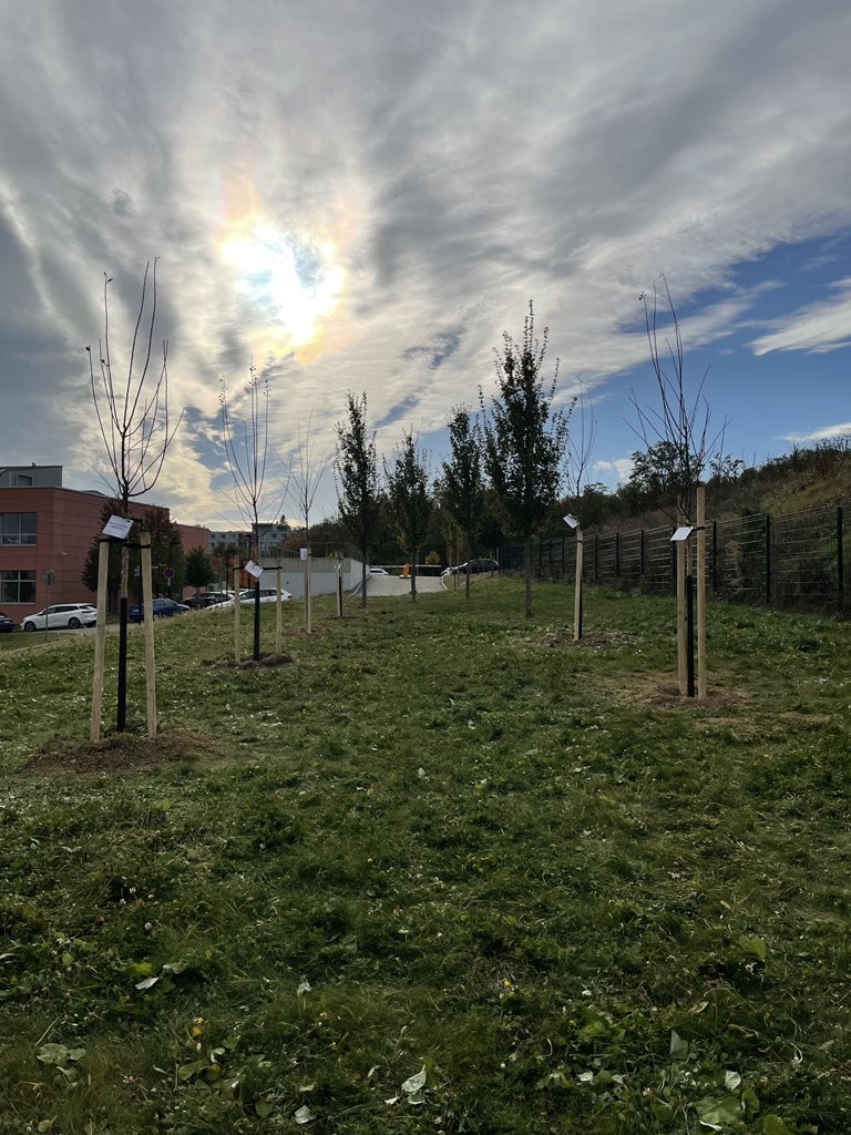 CEITEC_Brno's tweet photo. At @CEITEC_Brno @VUTvBrne we have decided to plant 10 trees as a part of our #CEITEC10 Anniversary 💚 

Each of the teams could add a symbolic message that will be printed on wooden boards with their names 💌

#CEITECScience #anniversary #celebration https://t.co/vVRQ5nNmEJ