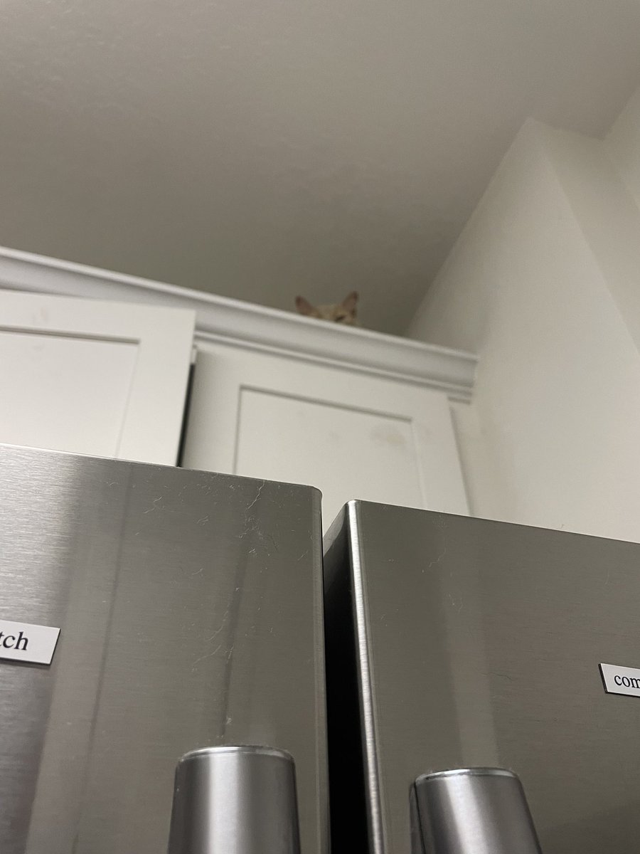 litsadawkins's tweet photo. Nut update for your records https://t.co/mC46L2g2BW