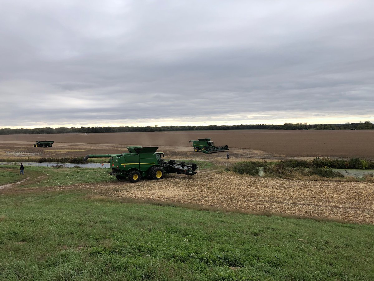 DGrant_FW's tweet photo. Emotions flowing as farmers from all over #MenardCounty #Harvest21 the crop of Brian Satorius, who tragically lost his life in a farming accident Aug. 20 https://t.co/NZFG19DMef