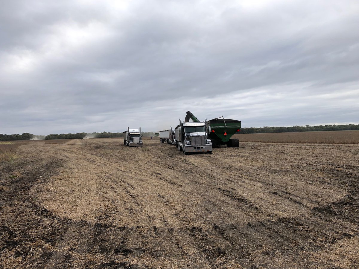 DGrant_FW's tweet photo. Emotions flowing as farmers from all over #MenardCounty #Harvest21 the crop of Brian Satorius, who tragically lost his life in a farming accident Aug. 20 https://t.co/NZFG19DMef