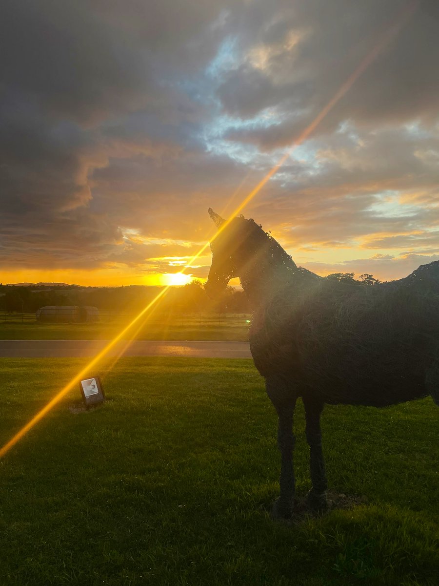melhall10's tweet photo. Gorgeous sunset this evening at @EllenboroughPk overlooking @CheltenhamRaces 🌅  #Cheltenham https://t.co/Lt5pEezDNG