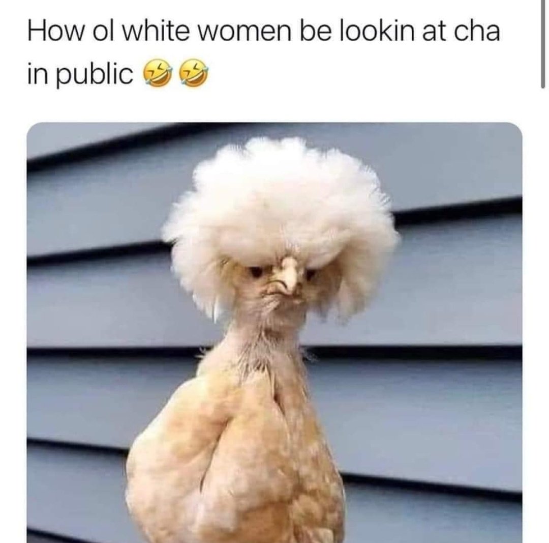 NaidaBoo's tweet image. Say I'm lying 😂