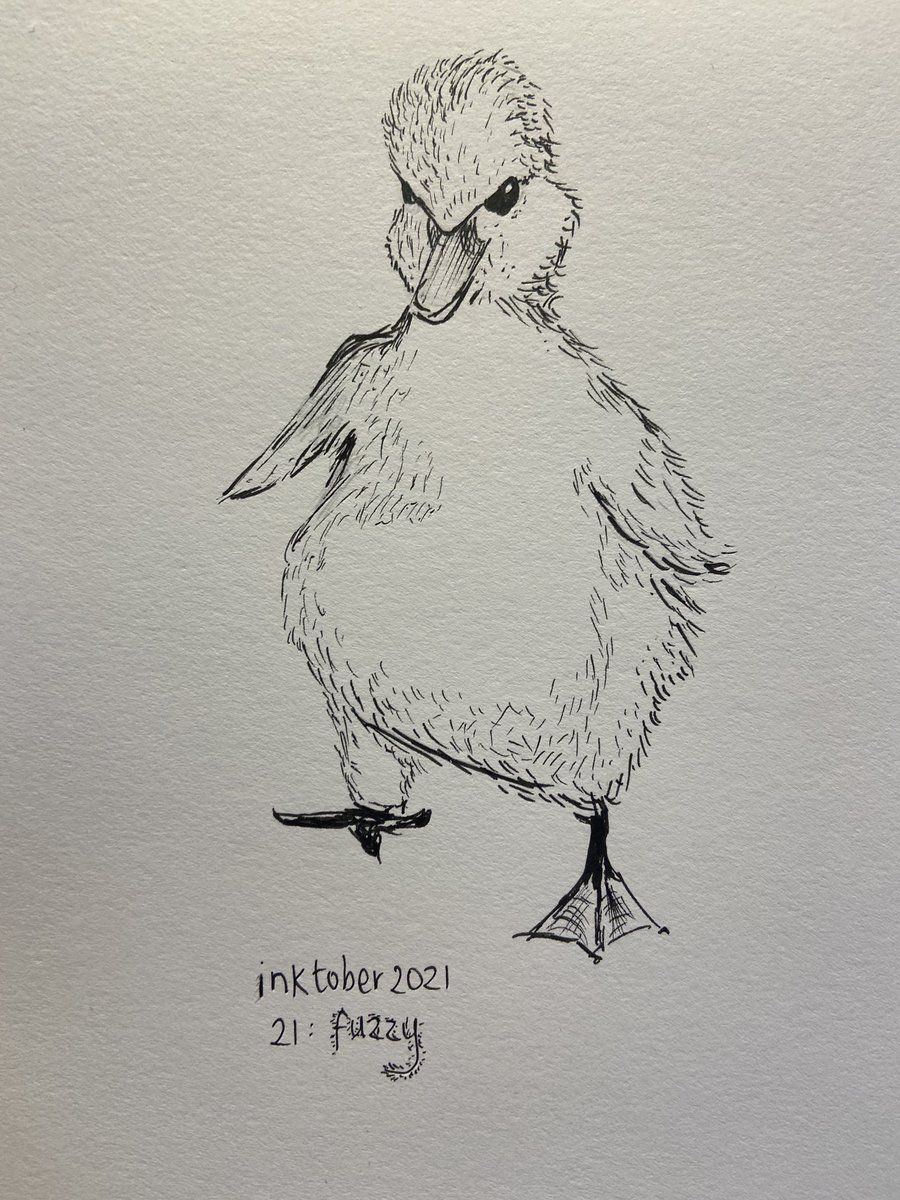 #inktober2021 
Day 21 : fuzzy