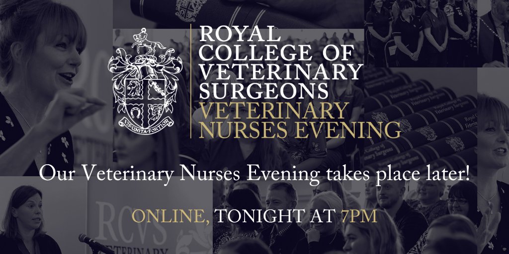 theRCVS's tweet photo. Our #VNevening is starting at 7pm! We’re looking forward to congratulating the newest members of the vet nurse profession, formally welcoming them to the VN Register and celebrating everyone who has achieved the new CertAVN qualification. Join us live! https://t.co/P5rBmeKn9M https://t.co/b0Zckk1Owe