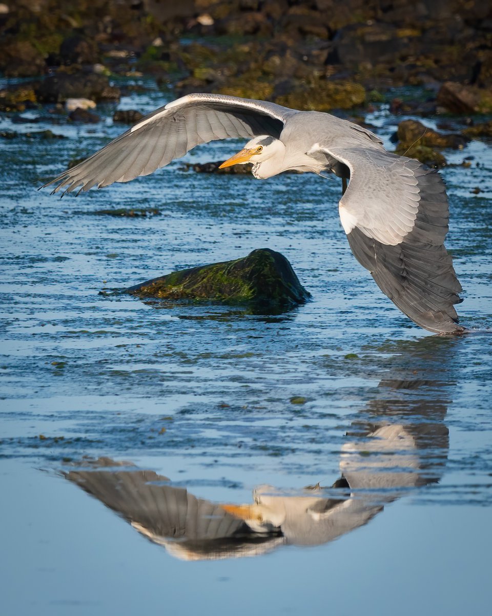 Peter Christian tweet media