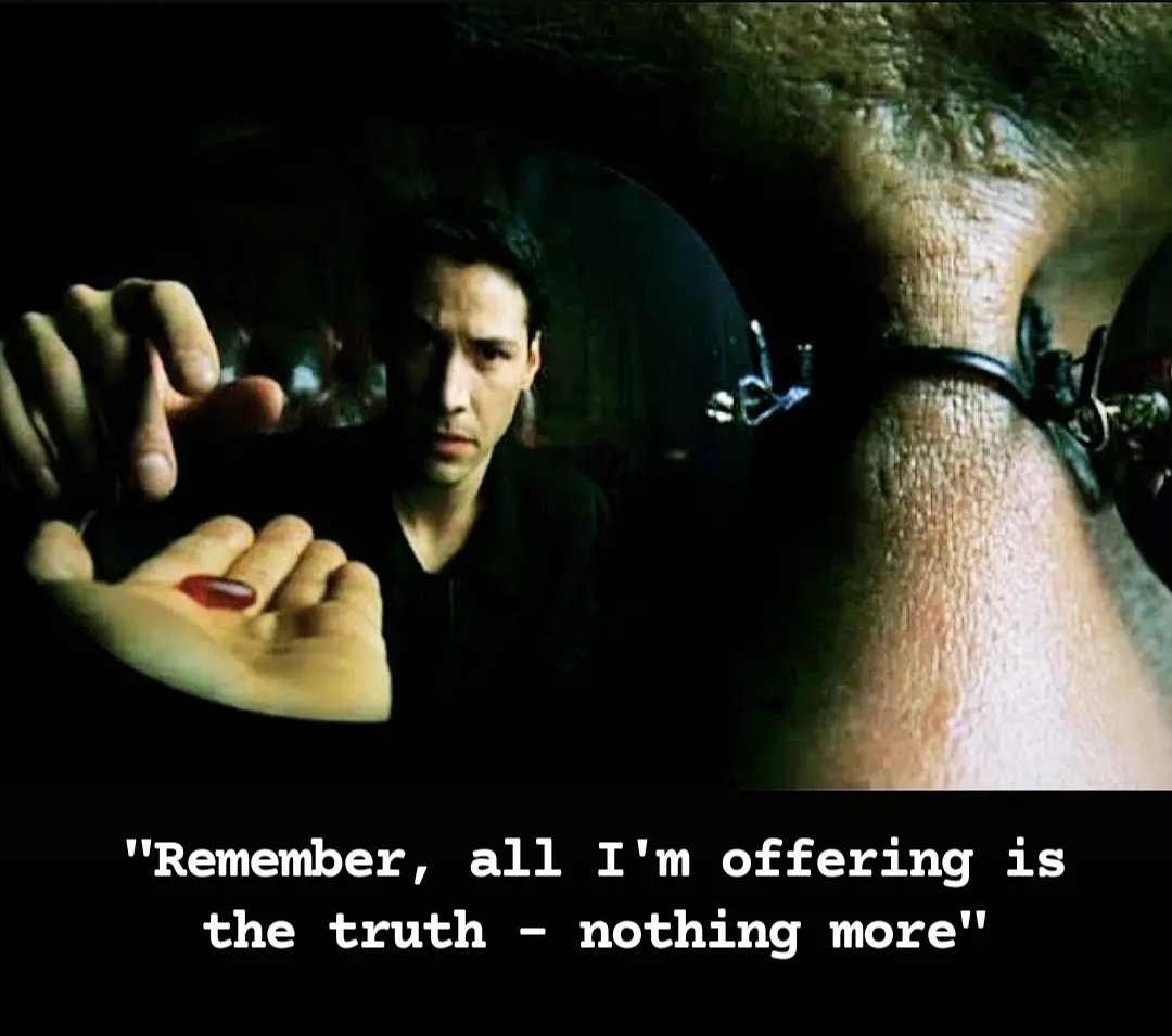 "You take the red pill – you stay in Wonderland, and I show you how deep the rabbit hole goes."