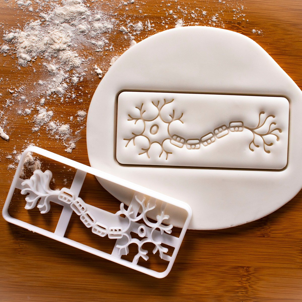 Bakerlogy's tweet photo. Send and receive tasty nerve impulse signals with our neuron cookie cutter!⚡️
.
.
.
#neuron #neurons #nervecell #neurology #neurologist #centralnervoussystem #neurone #neuroscience #neurosciences #neuroscienceresearch #medicalstudent #medicalcookies #medicalstudentslife https://t.co/kwBjwgNVUE