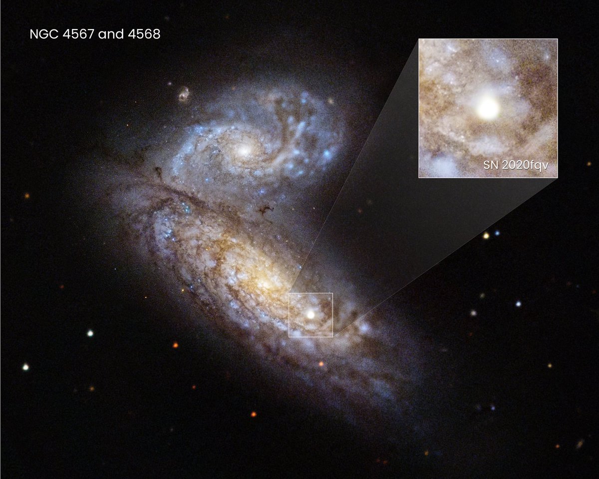 🎟️ Get your ringside tickets ready!

Hubble witnessed the first moments of a star's death after a supernova exploded inside the Butterfly Galaxies.

This will help give researchers better insight into what was happening to the star just before it died: go.nasa.gov/3jmnYow