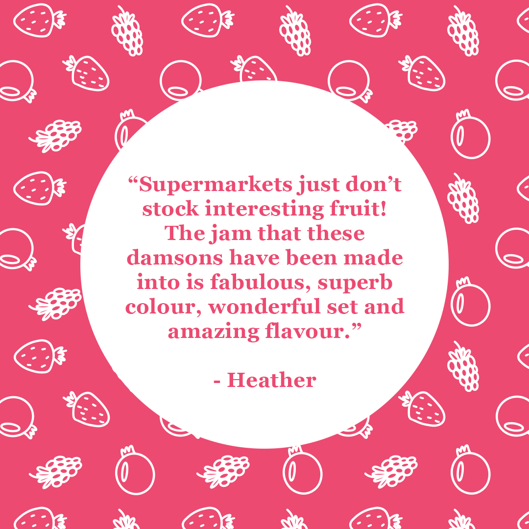 You can always get #frozenfruit from us you may not be able to find in your local supermarkets year-round! from #Damons to #Chuckleberries, to #Gooseberries - we have plenty of options for you!
frozenfruit.co.uk/all-fruit.html