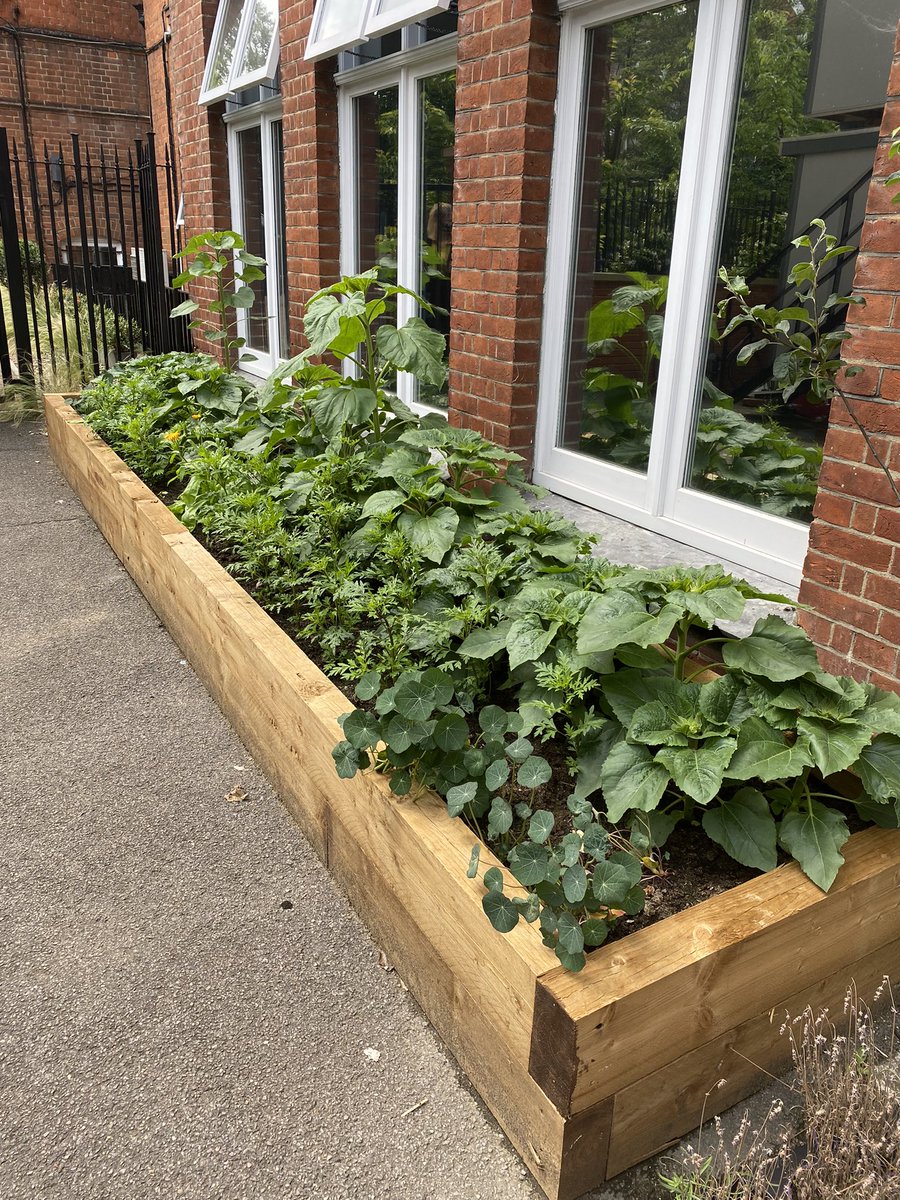 @Estates_WHS tweet media