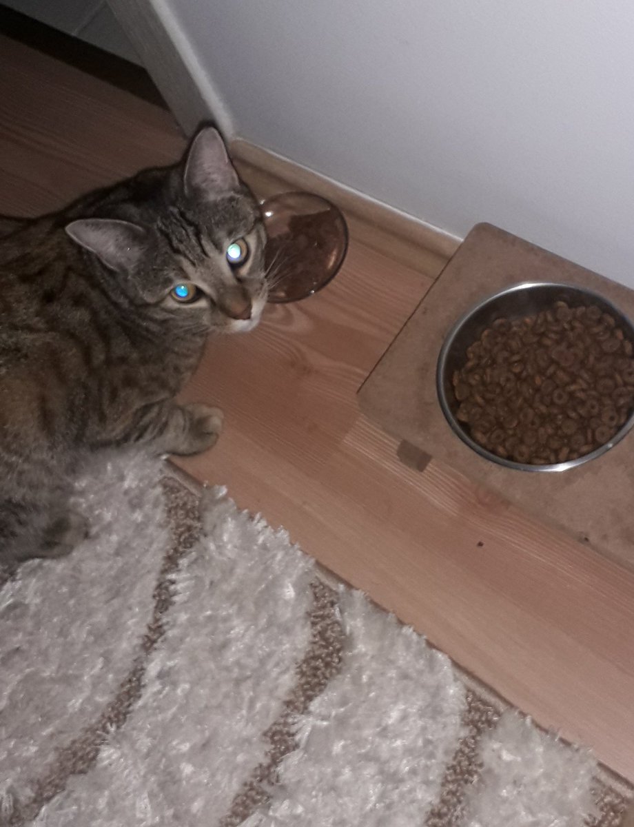 mirhaba tostlar upuuzuuun  1 aradan sunra annik yaş mamik alınca küsmüşdüm ama barışdım