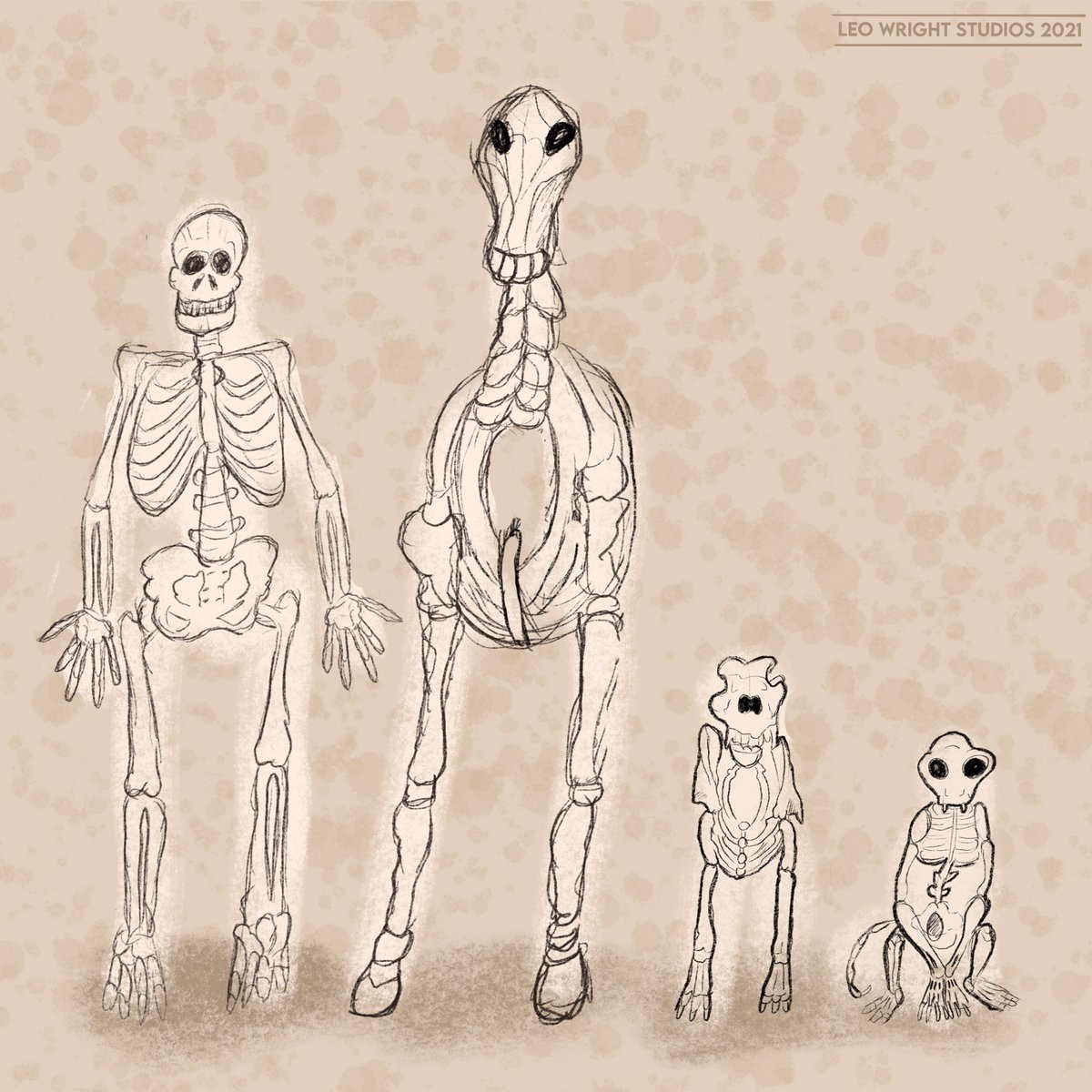 leowrightstudio's tweet photo. A study of the front skeleton profiles of a human, a horse, a dog and a cat. Expect to see more animal related animations and sketches over the coming year.

#animation #animationatstaffs2021 #lifedrawing #skeleton #halloween #inktober #anatomy #procreate #sketching #horse #human https://t.co/oyVpXztohL
