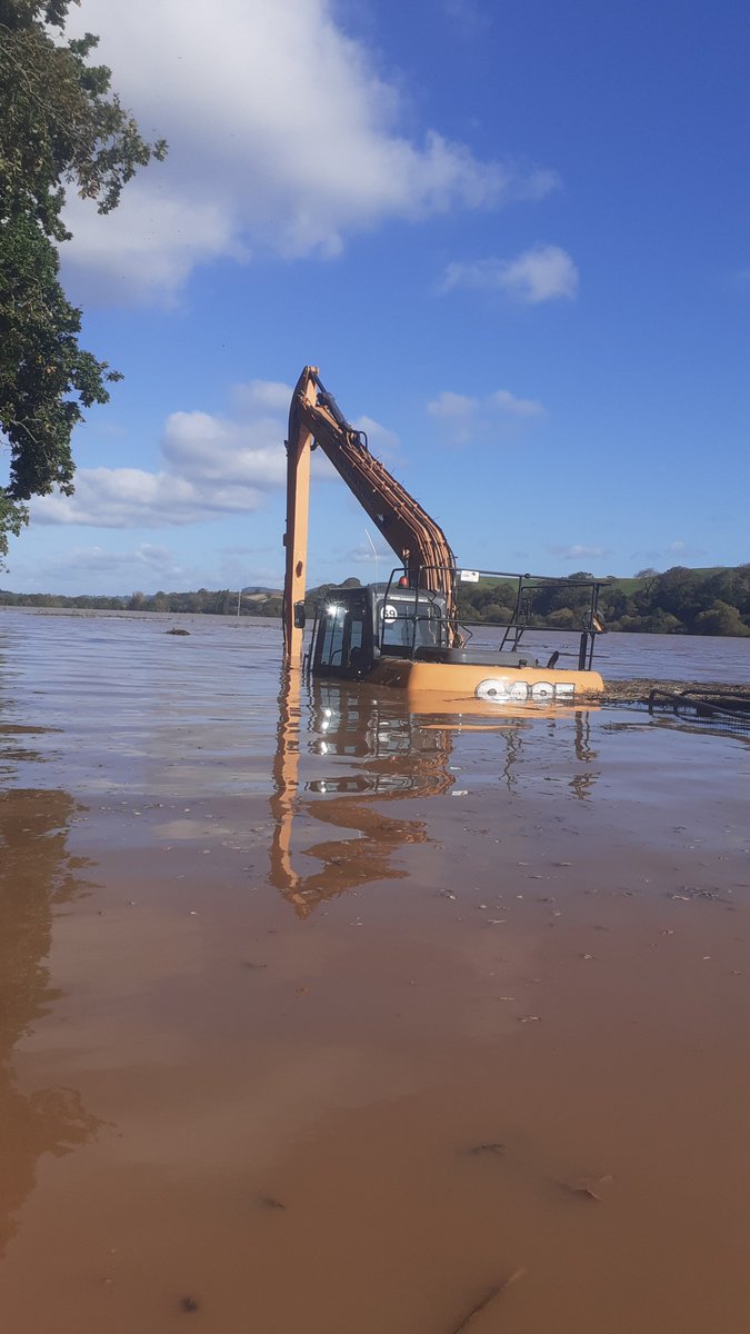 Devon Dubs tweet media