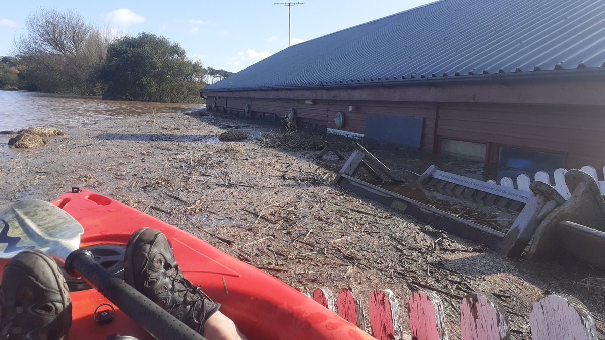 Devon Dubs tweet media