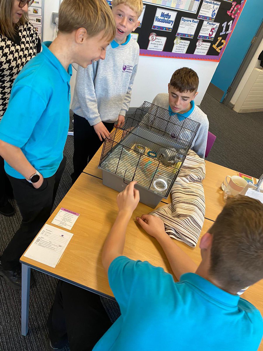 PhoenixHousePRU's tweet photo. #HamsterFun in KS3 today! The pupils loved spending time with Miss Young’s hamster and were extremely careful and respectful. Well done! #ThisisAP #PPAvalues #ThisisAP https://t.co/xCYOSk554d