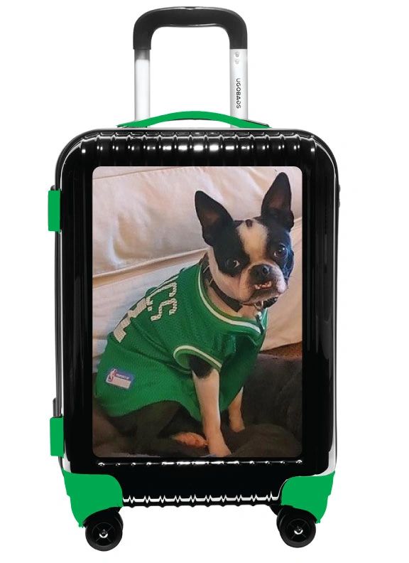 UGOBAGS tweet media
