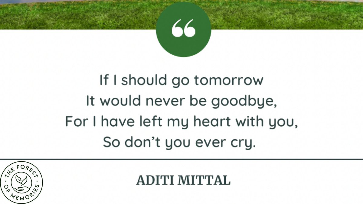 ForestOfMemory's tweet image. Their heart stays with you. 💚 

Check out our website and dedicate a tree in your lost loved ones name- theforestofmemories.com. 
⠀
#memorytrees #connected #support #memories #love #nature #trees #grief #community #reflect #loss