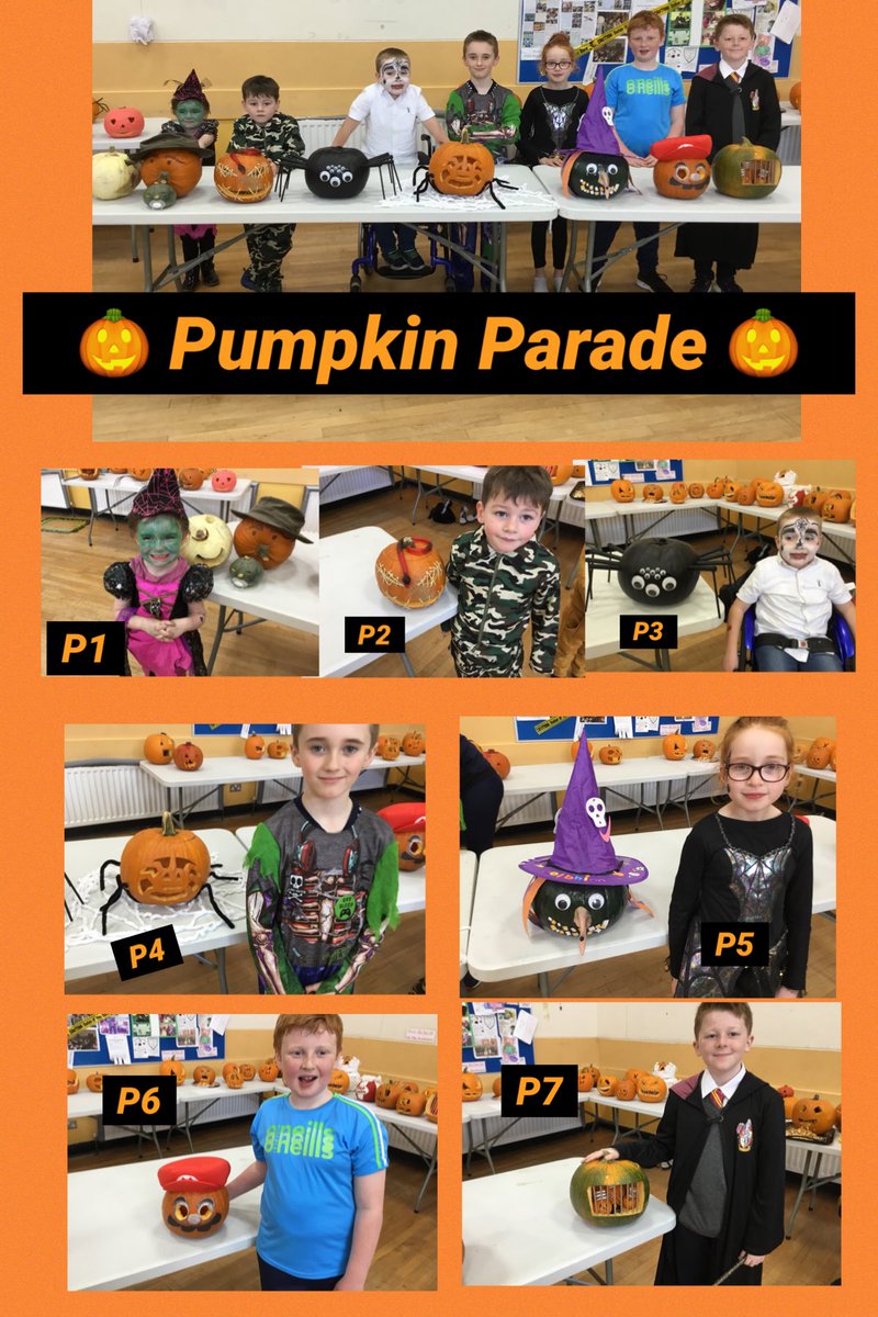 Knocknaginps's tweet photo. 🎃 Pumpkin Parade 🎃
Fantastic effort from all pupils today 🌟👏🏻🌟
Amazing creativity on display 
Thanks to all pupils &amp; parents for their masterpieces 
@FKnocknagin 
https://t.co/xNy68AazJR https://t.co/bJ4La7u43s