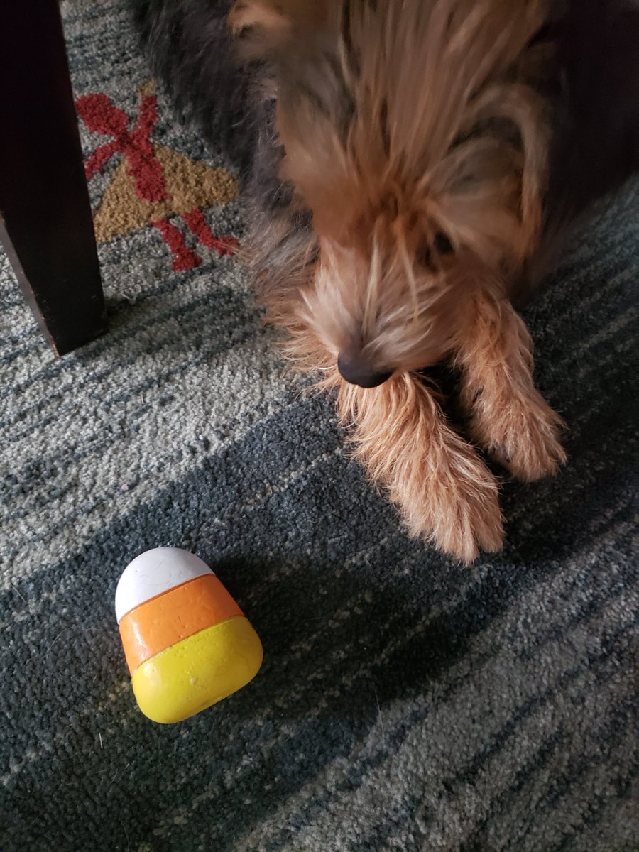 millijacks tweet picture