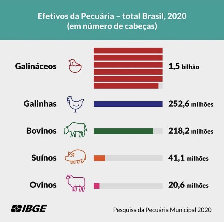 geopopular's tweet photo. IBGE: a Pesquisa da Pecuária Municipal 2020 (#PPM2020) calculou os efetivos da pecuária total para o Brasil.
#rural #setorprimário https://t.co/0wpQqY5Q23