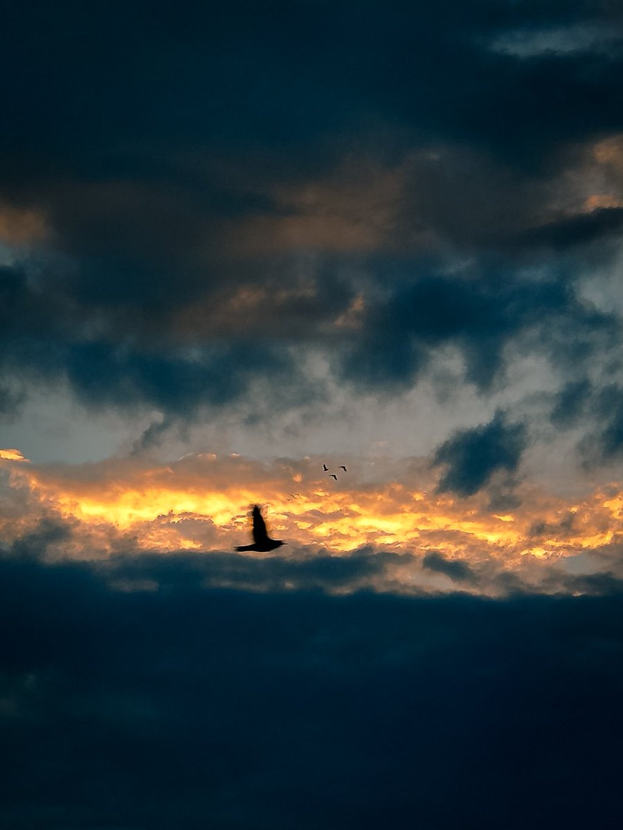 nautankigrapher's tweet photo. Morning Clouds Drama 💙
.
Shot on #realmeX3 on 5X zoom https://t.co/cnryVRIonW