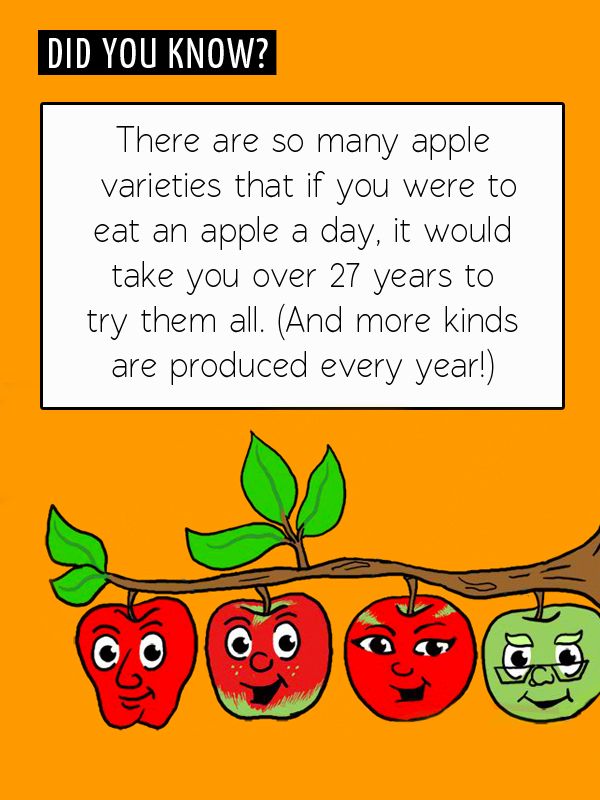 AzCIM's tweet photo. Apples are an excellent source of antioxidants! Always opt for organic to avoid pesticides and waxy residue, says Dr. Weil. Happy Apple Day! 🍎
#appleday #fallfoods #fallnutrition https://t.co/dsUKn79ZNH