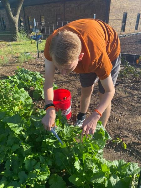 LISDFOF's tweet photo. It was a busy day at the garden! https://t.co/8DymVPmGVV