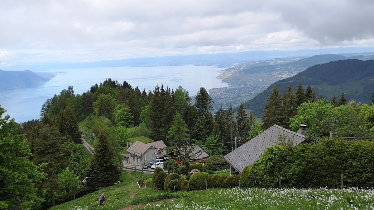 cpitclaudel's tweet photo. I got a job and I'm moving!  I'll be joining the faculty of @ICepfl in Lausanne, Switzerland next year.  I'm very excited and humbled to be joining such a great department, and I look forward to working with many awesome students and all my peers at @EPFL_en and beyond. https://t.co/IsxjOsgKY0