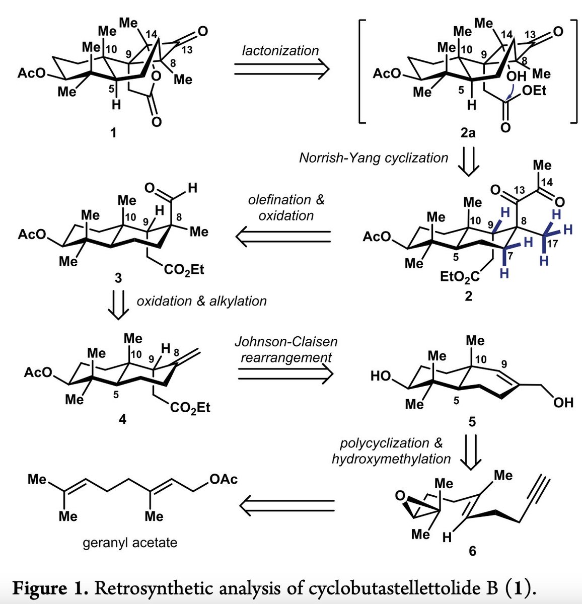 TotalSynthesis's tweet photo. #TotalSynthesis of (+)-Cyclobutastellettolide B by Zhongchao Zhang, Sijia Chen, Fu Tang, Kai Guo, Xin-Ting Liang, Jun Huang, and Zhen Yang @PKU1898 in @J_A_C_S https://t.co/amAim2tp2h https://t.co/AefWnaEN8P