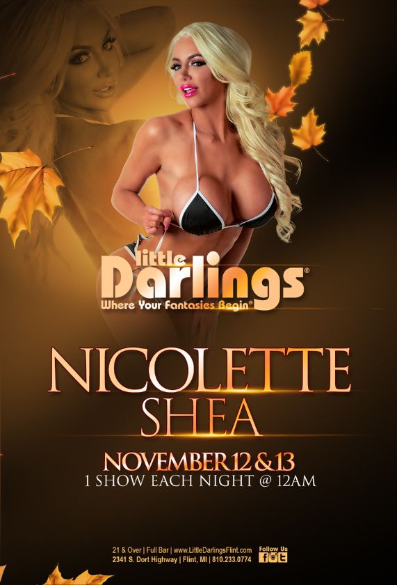 LittleDarlingsF's tweet photo. 💥 Coming up! 💥
@Nicolette_Shea 
NOV 12TH-13TH
1 show each night at midnight
#LittleDarlingsFlint https://t.co/TPjrN5feuJ