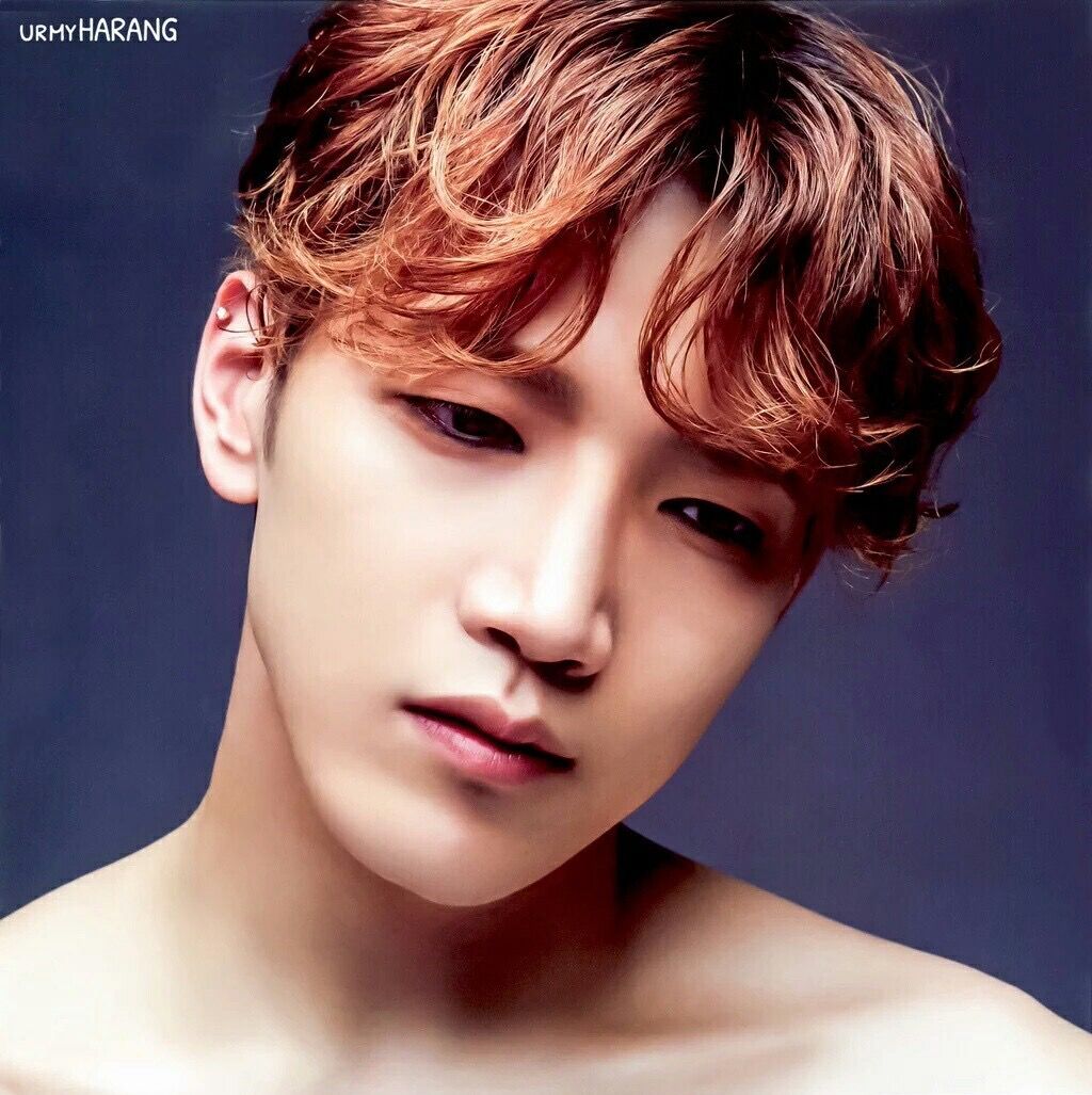 sleepy_orange's tweet photo. TL cleanse. Look at this angel. https://t.co/bnpRIWzipC