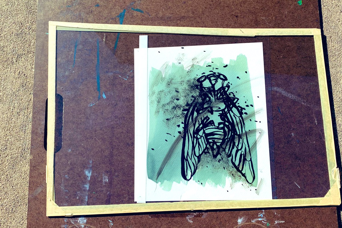 m_hauske's tweet photo. Soaking up some sunshine today! IB Juniors are experimenting with hand painted cyanotypes #CHSArt #CHSRelentless @ib_chs #CHS_IBVA @CoppellFineArts https://t.co/MlPmHHI6Yg
