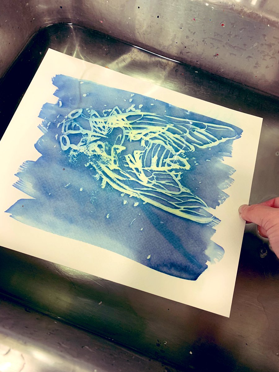 m_hauske's tweet photo. Soaking up some sunshine today! IB Juniors are experimenting with hand painted cyanotypes #CHSArt #CHSRelentless @ib_chs #CHS_IBVA @CoppellFineArts https://t.co/MlPmHHI6Yg