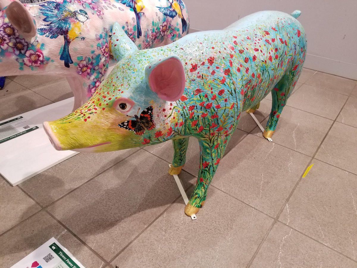 smhbasingstoke's tweet photo. Getting excited to see where our wonderful #HantsHogs are going to end up! Thank you @LoveBstoke @StagecoachSouth @TheGabardine @bcot for your support ❤❤ https://t.co/fPOzajcYsT