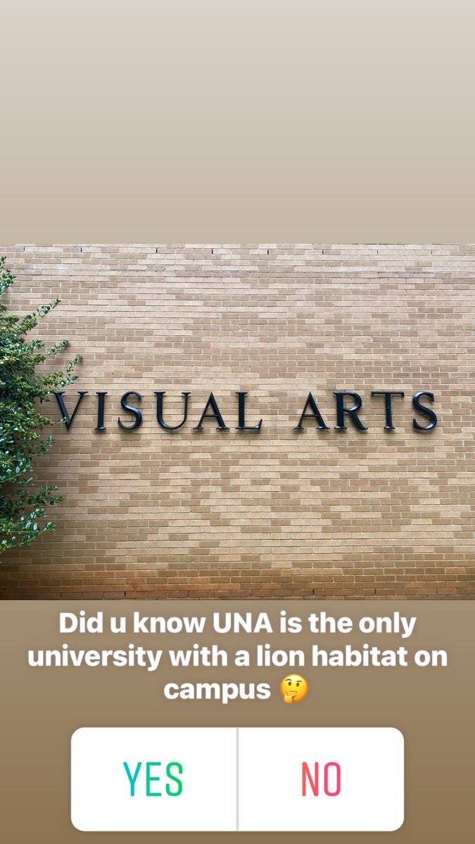 Julia Smith tweet media