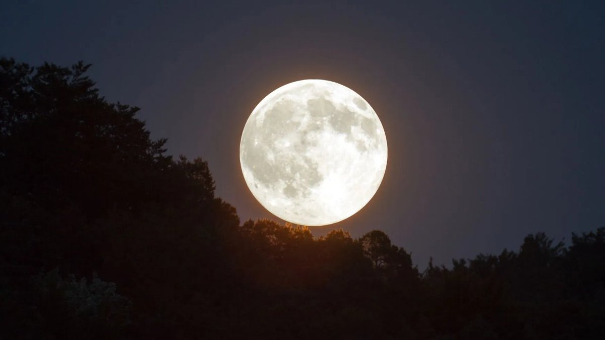 «Охотничья Луна» (Hunter's Moon) 20 октября 2021 года: когда и как можно наблюдать youtu.be/akYlLX1-or4
#HuntersMoon #ОхотничьяЛуна #полнолуние #наука #космос #астрономия #Луна #space #science #astronomy #Уран #Ориониды