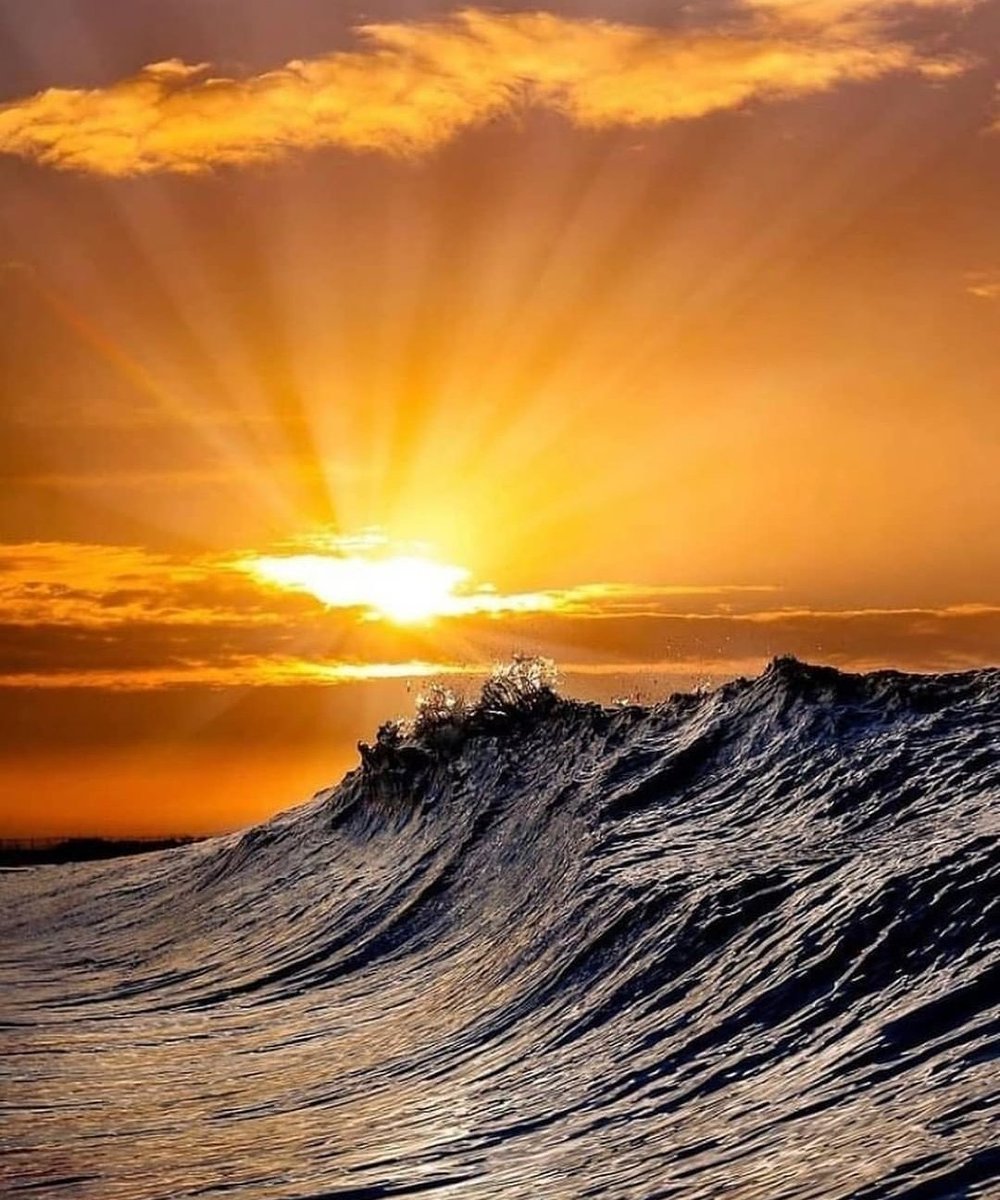 Good evening.