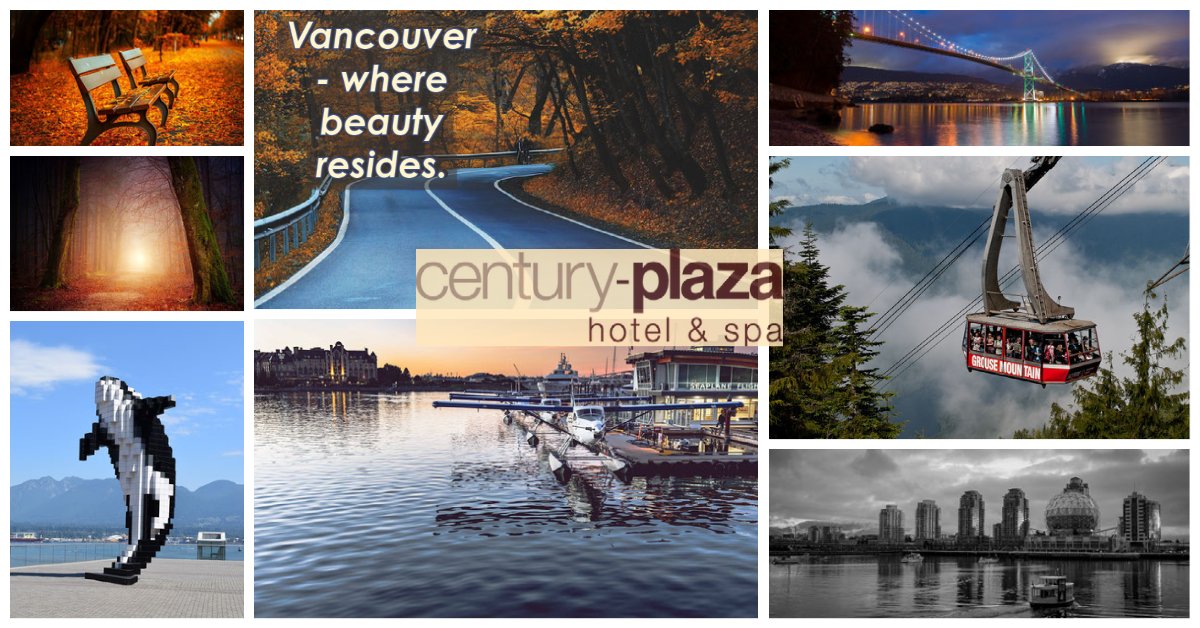 #vancouver in October is incredibly #stunning #fallcolours for days. Come and walk the #seawall See the leaf paintings <a href="/vancouver/">Vancouver</a> <a href="/viawesome/">Vancouver Is Awesome</a> @destination_vancouver @vancouver_canada <a href="/ParksCanadaVan/">ParksCanadaVancouver</a>