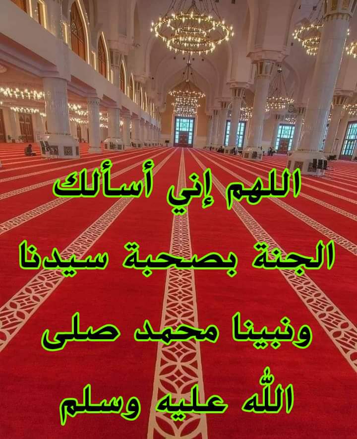 SAYED ELTORBANY (@sayedeltorbany) on Twitter photo 
